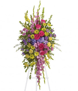 Bright and Beautiful Spray