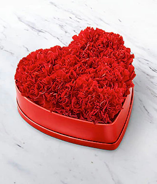 My Heart Red Carnations