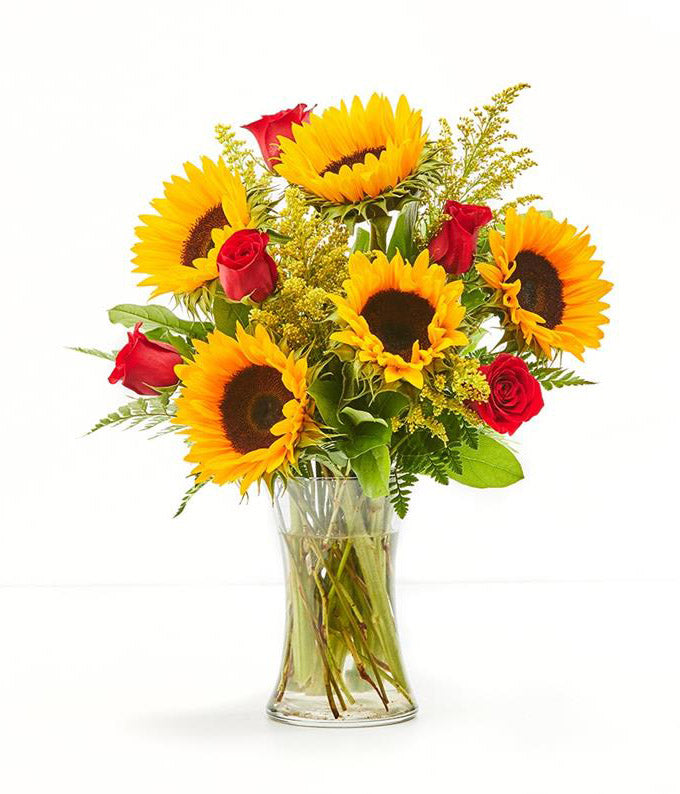 Ray of love – House of Flowers Del Rio